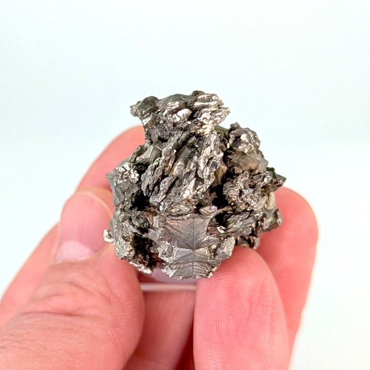 Sperkise with brachidomes, Cap Blanc-Nez, France, 70 grams