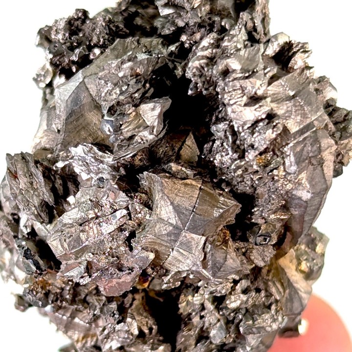 Sperkise with brachidomes, Cap Blanc-Nez, France, 70 grams