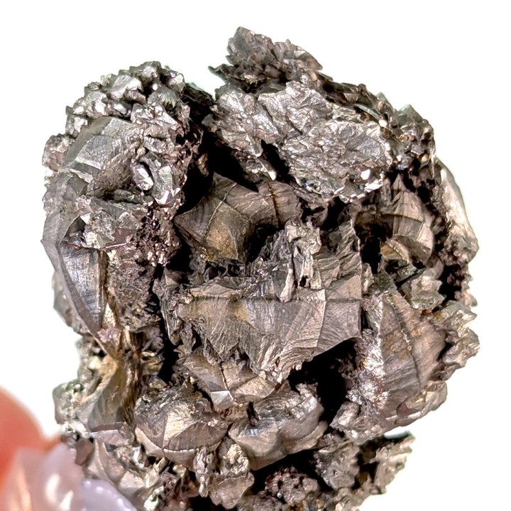 Sperkise with brachidomes, Cap Blanc-Nez, France, 70 grams
