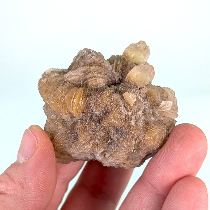 Gypse, Gmina, Pologne, 78 grammes