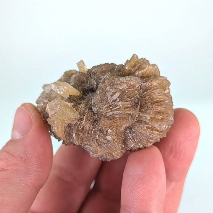 Gypsum, Gmina, Poland, 78 grams