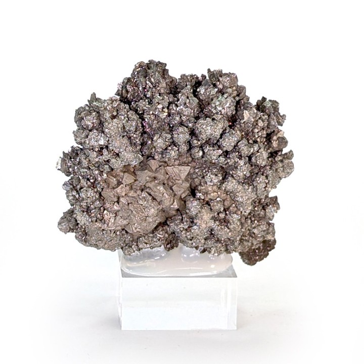 Pyrite, Cap blanc nez, France, 44 grammes