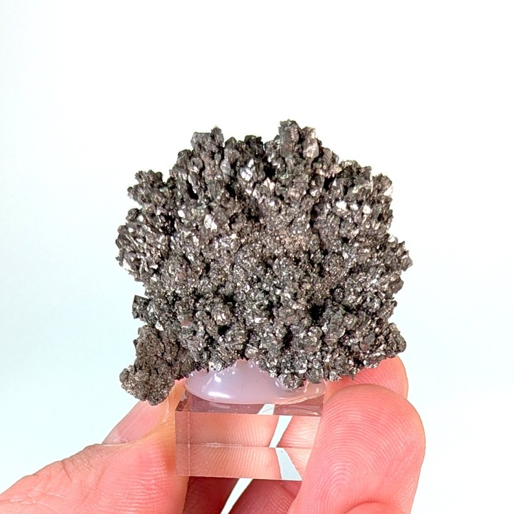 Pyrite, Cap blanc nez, France, 44 grammes