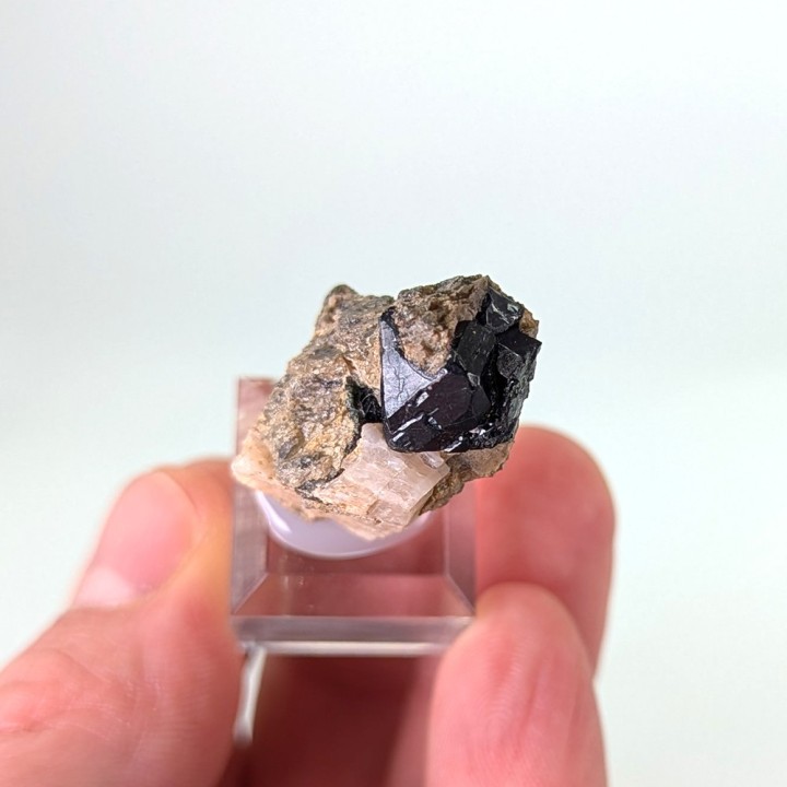 Spinelle noire, mine Parker, Canada, 2,7 cm