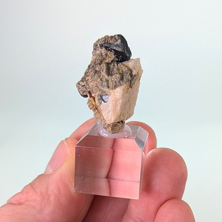 Spinelle noire, mine Parker, Canada, 2,7 cm