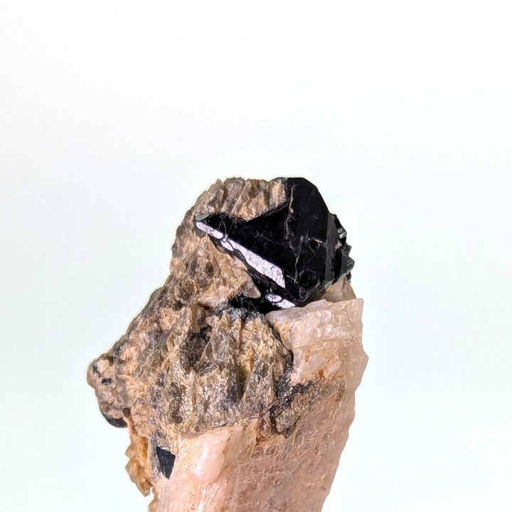 Spinelle noire, mine Parker, Canada, 2,7 cm