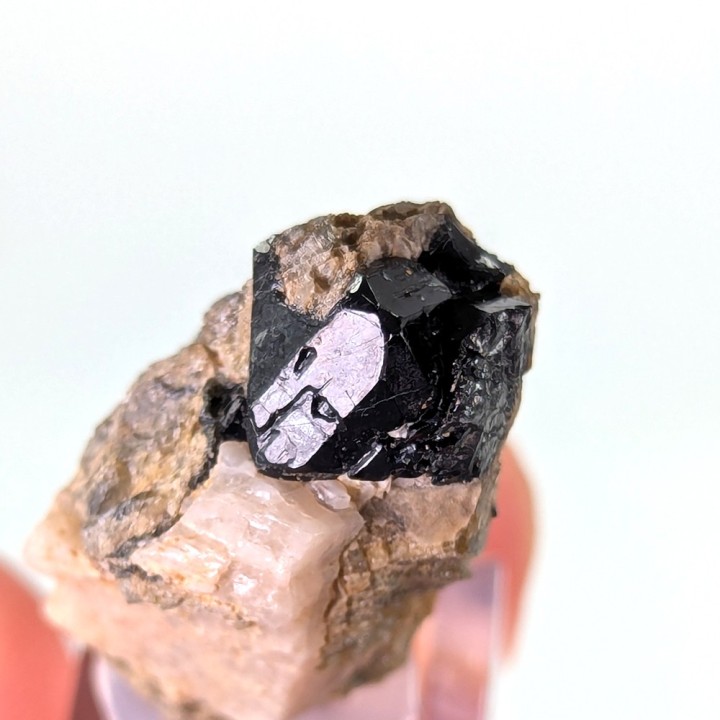 Spinelle noire, mine Parker, Canada, 2,7 cm