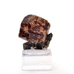 Grenat, épidote, Diakon, Mali, 2,3 cm