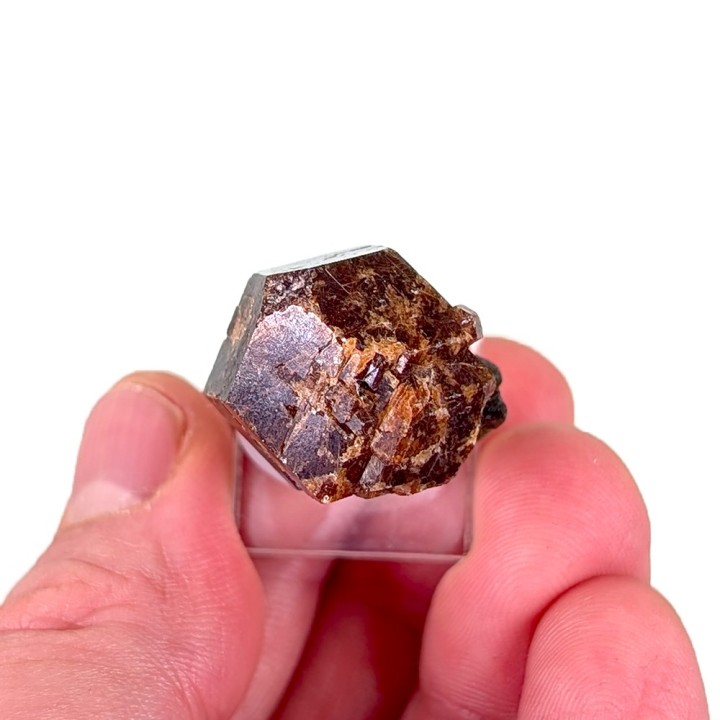 Grenat, épidote, Diakon, Mali, 2,3 cm