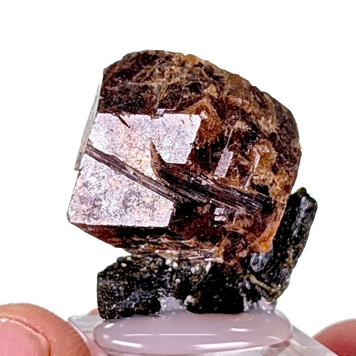 Grenat, épidote, Diakon, Mali, 2,3 cm