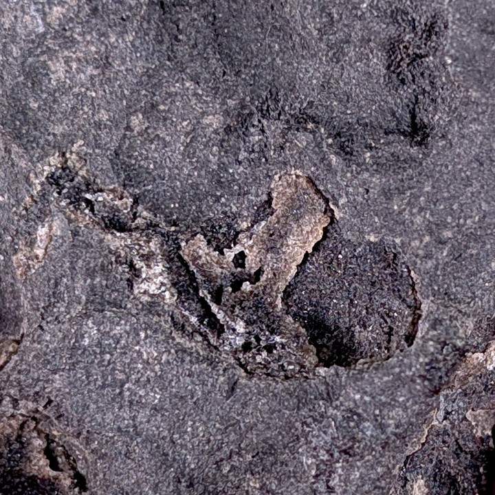 Arsenic, Mine Gabe-Gottes, France, 137 grams