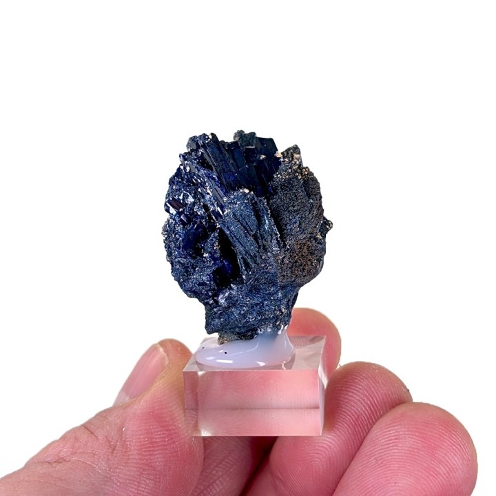 Azurite, Touissit, Morocco, 3.2 cm