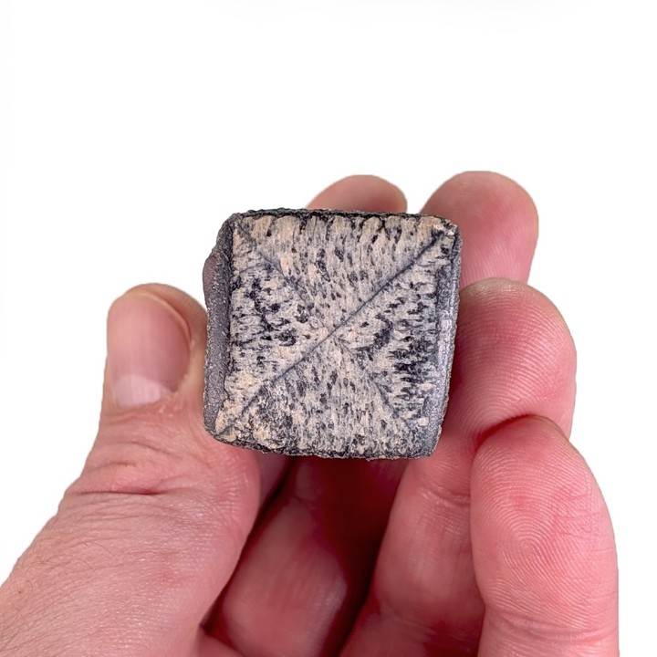 Chiastolite, Rwanda, 66 grams