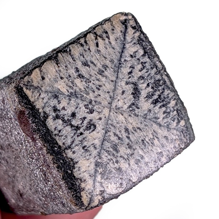 Chiastolite, Rwanda, 66 grams
