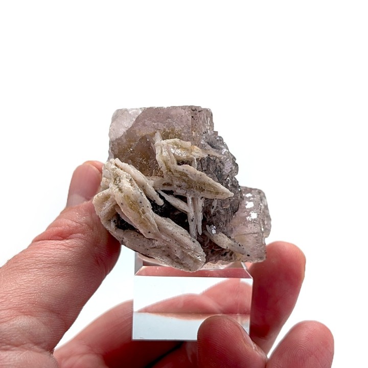 Fluorite, Chaillac mine, France, 140 grams
