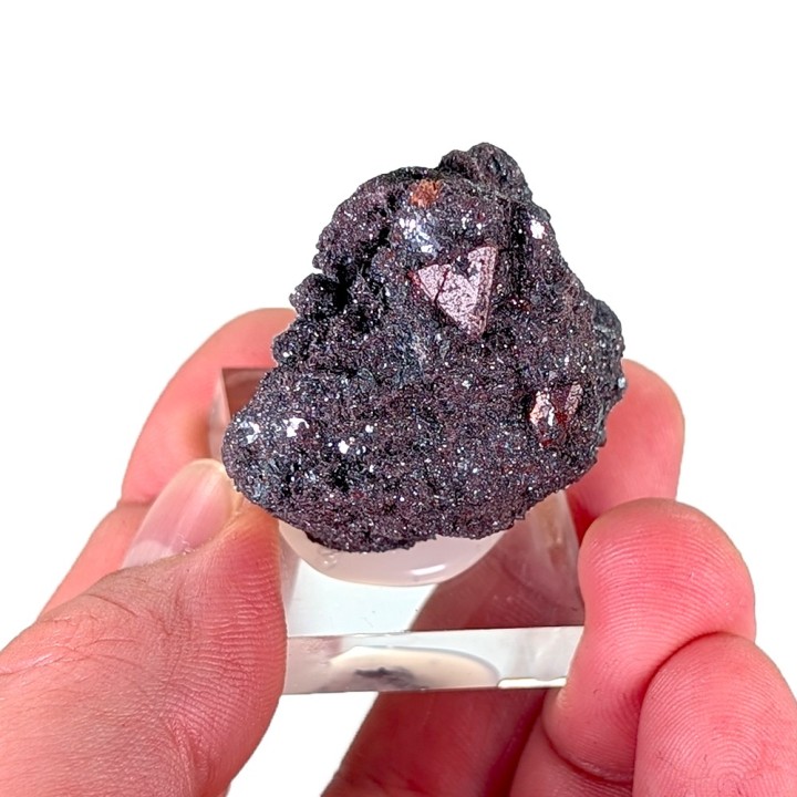 Zunyite, Dôme de sel de Qalat-e Balat, Iran, 43 grammes