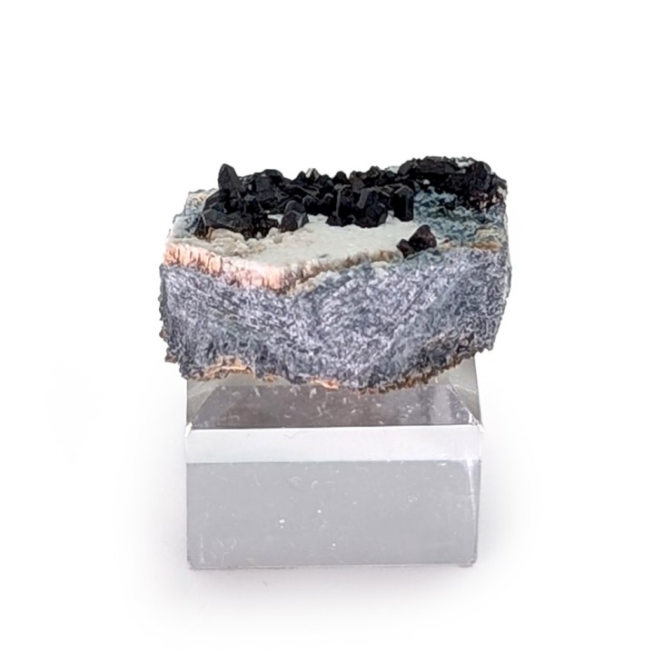 Neptunite, San Benito, États-Unis, 2,8 cm