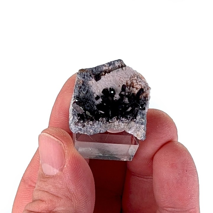 Neptunite, San Benito, États-Unis, 2,8 cm