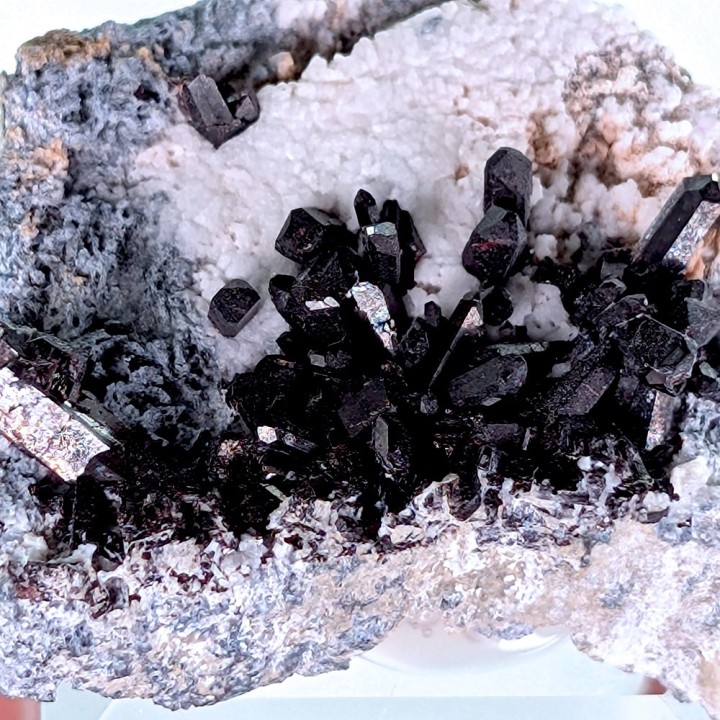 Neptunite, San Benito, États-Unis, 2,8 cm