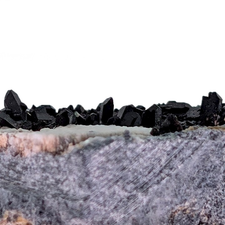 Neptunite, San Benito, États-Unis, 2,8 cm
