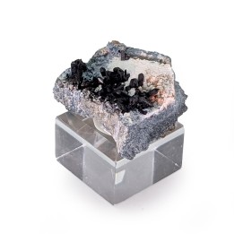 Neptunite, San Benito, États-Unis, 2,8 cm