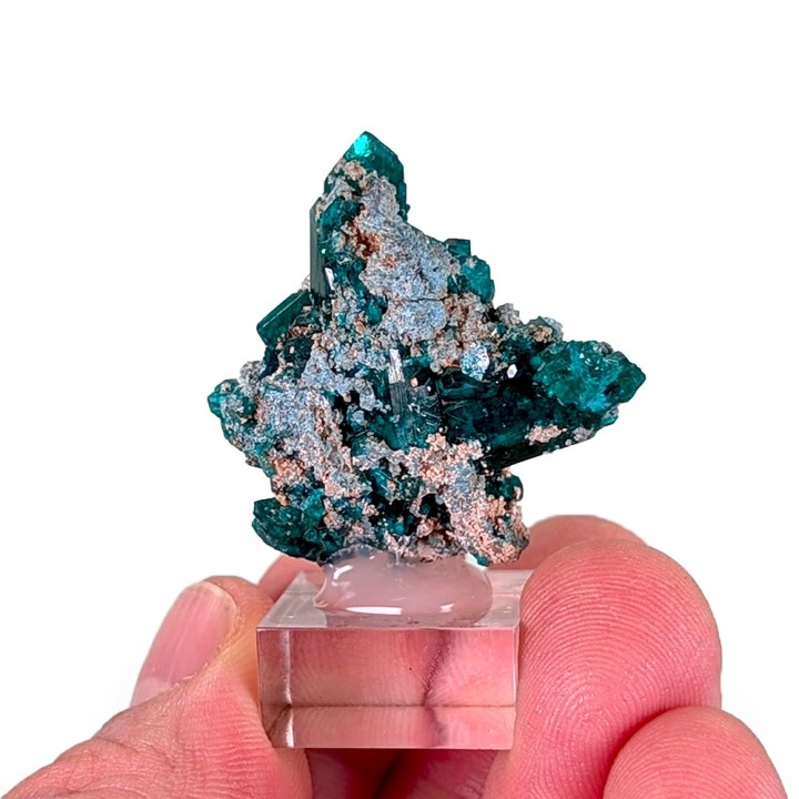 Dioptase, Renéville, Congo, 2,8 cm