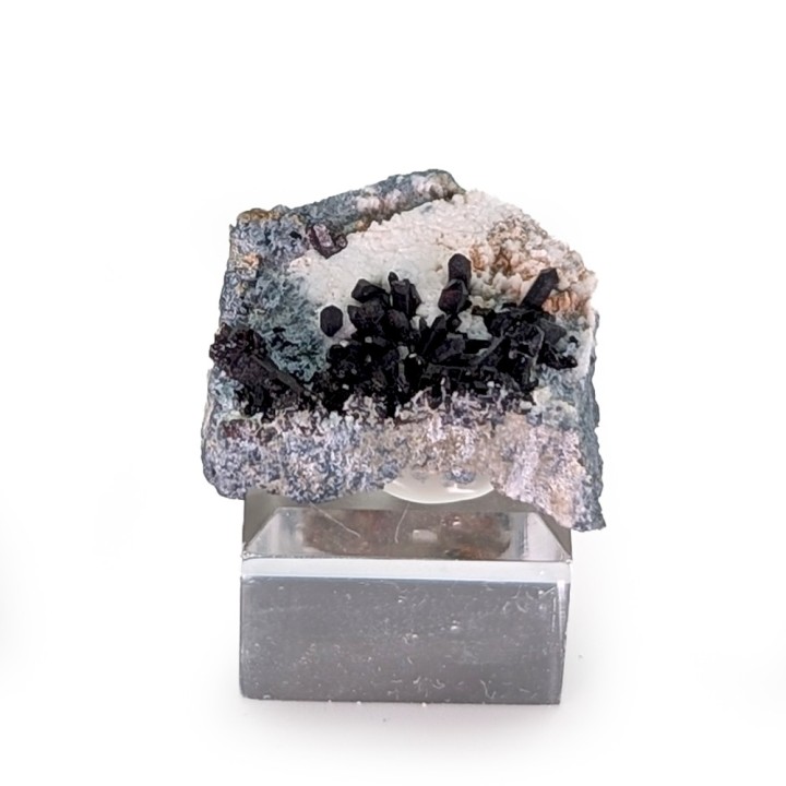 Neptunite, San Benito, États-Unis, 2,8 cm
