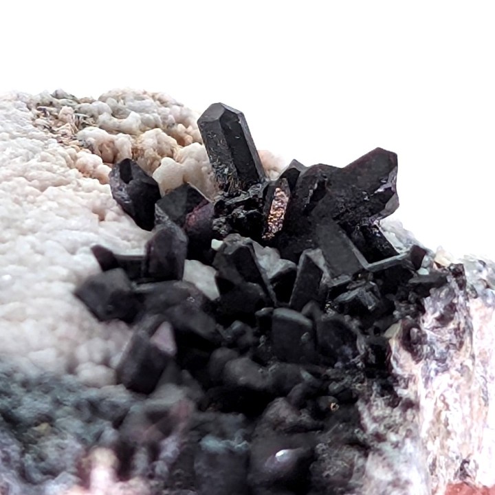 Neptunite, San Benito, États-Unis, 2,8 cm