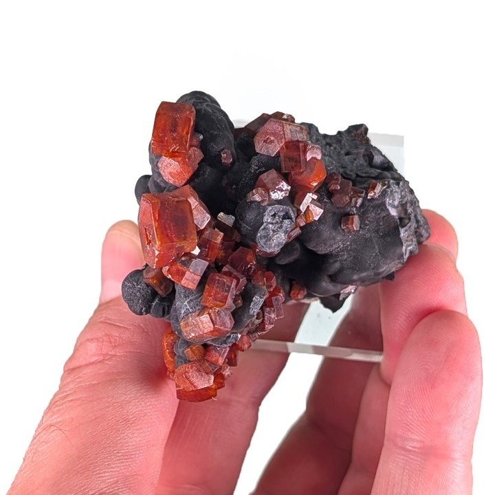 Vanadinite, goethite, Taouz, Morocco, 136 grams