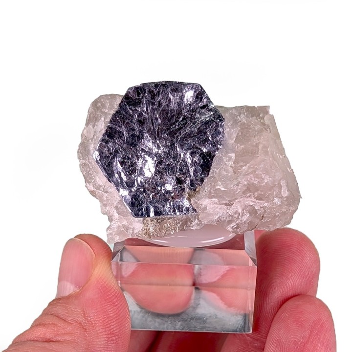 Molybdenite, Moly Hill Mine, Canada, 42 grams