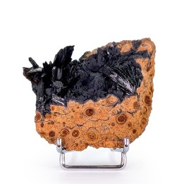 Vivianite, Kerch Mine, Ukraine, 72 grams