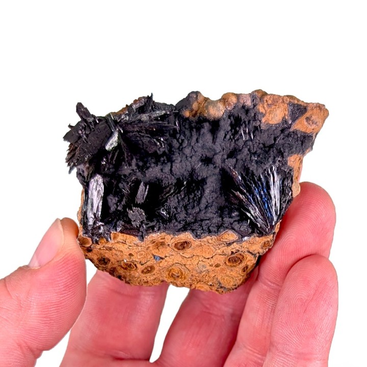Vivianite, Kerch Mine, Ukraine, 72 grams
