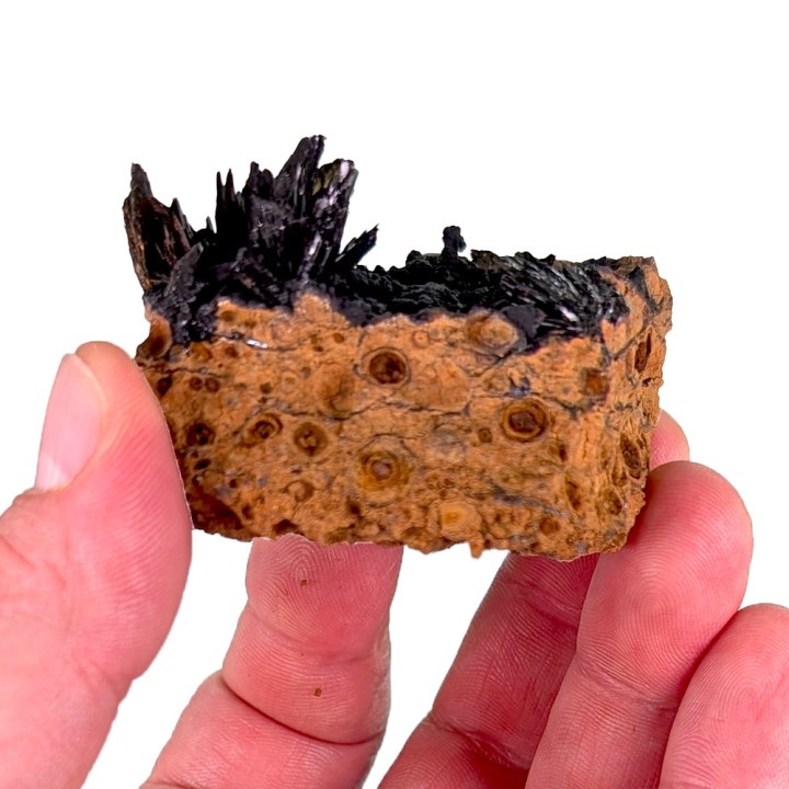 Vivianite, Mine de Kerch, Ukraine, 72 grammes
