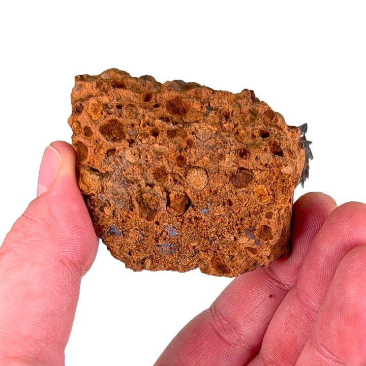 Vivianite, Mine de Kerch, Ukraine, 72 grammes