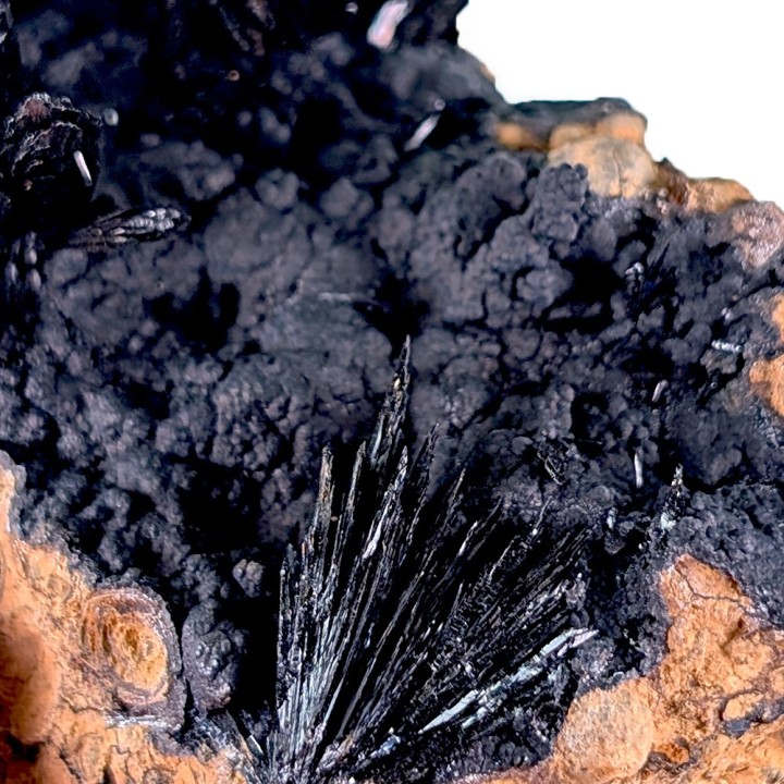 Vivianite, Mine de Kerch, Ukraine, 72 grammes