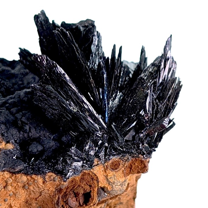 Vivianite, Kerch Mine, Ukraine, 72 grams