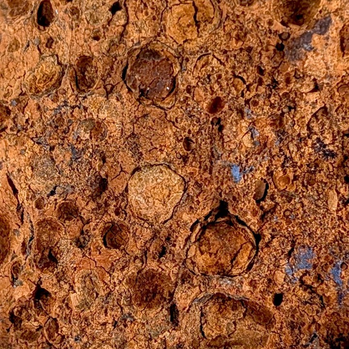 Vivianite, Mine de Kerch, Ukraine, 72 grammes