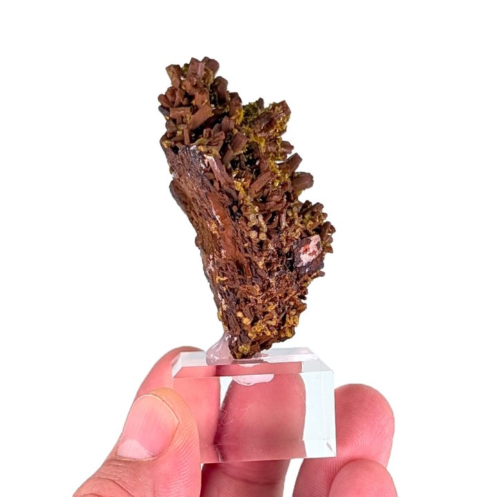 Pyromorphite, baryte, Les Farges, France, 98 grammes