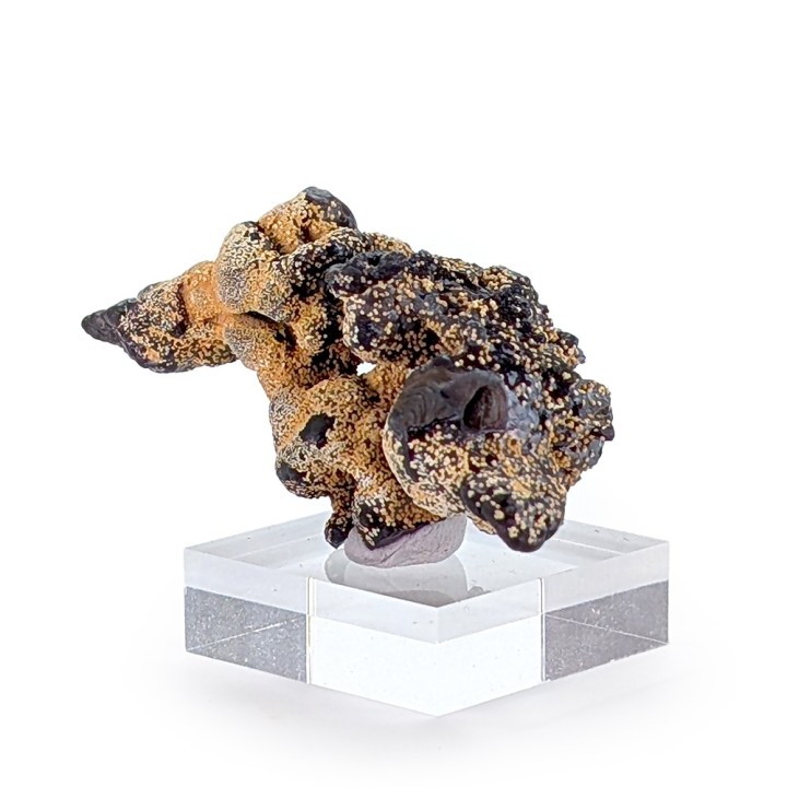 Meurigite, cryptomélane, Mine Sapucaia, Brésil, 19 grammes