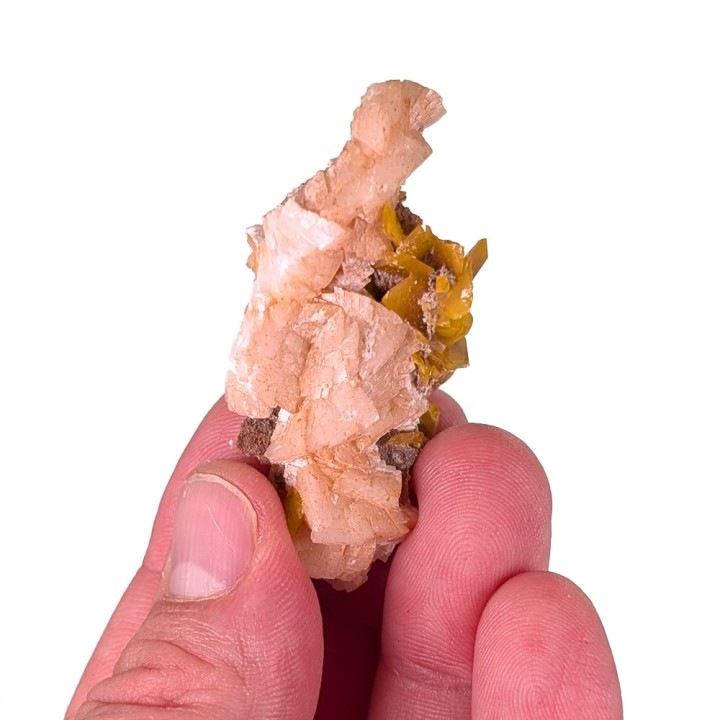Wulfenite, dolomite, Touissit, Morocco, 20 grams