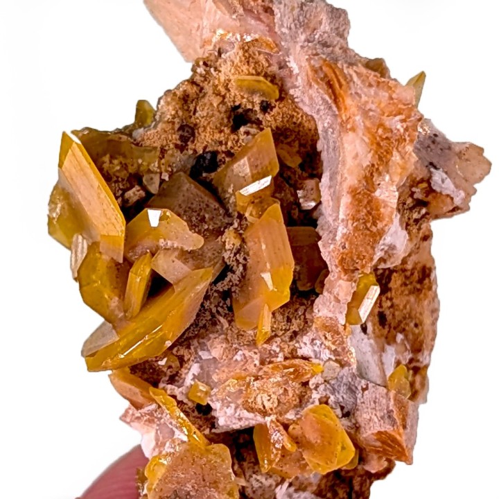 Wulfénite, dolomite, Touissit, Maroc, 20 grammes