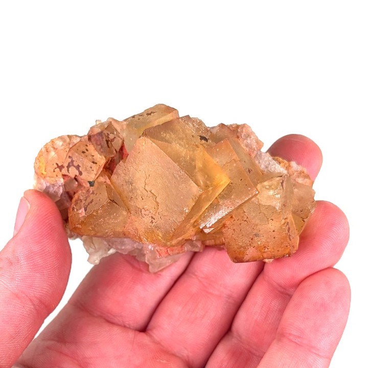 Fluorite, Mine de Jorf, Maroc, 95 grammes