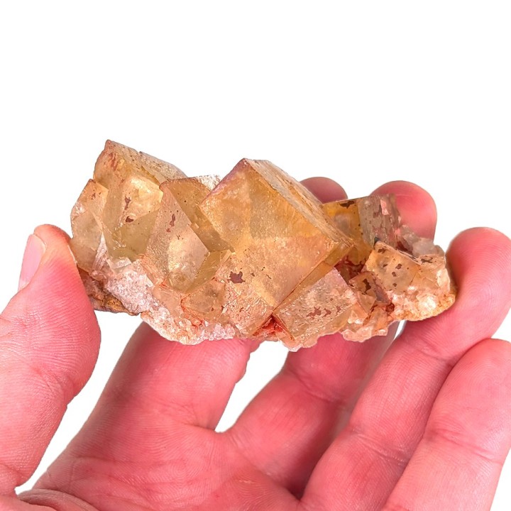 Fluorite, Mine de Jorf, Maroc, 95 grammes