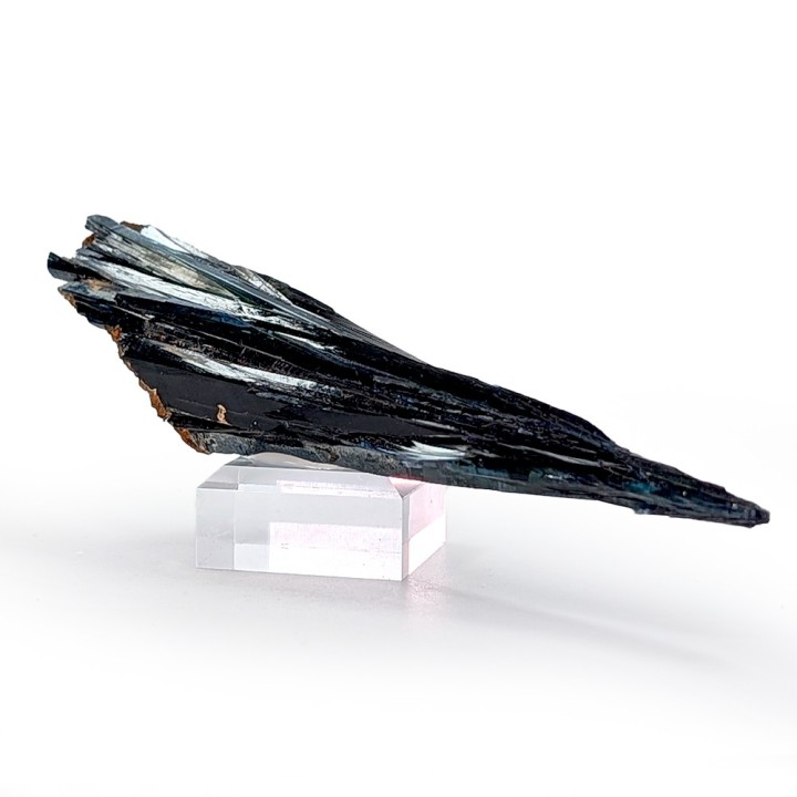 Vivianite, Cabeça do Cachorro Mine, Brazil, 13.2 cm