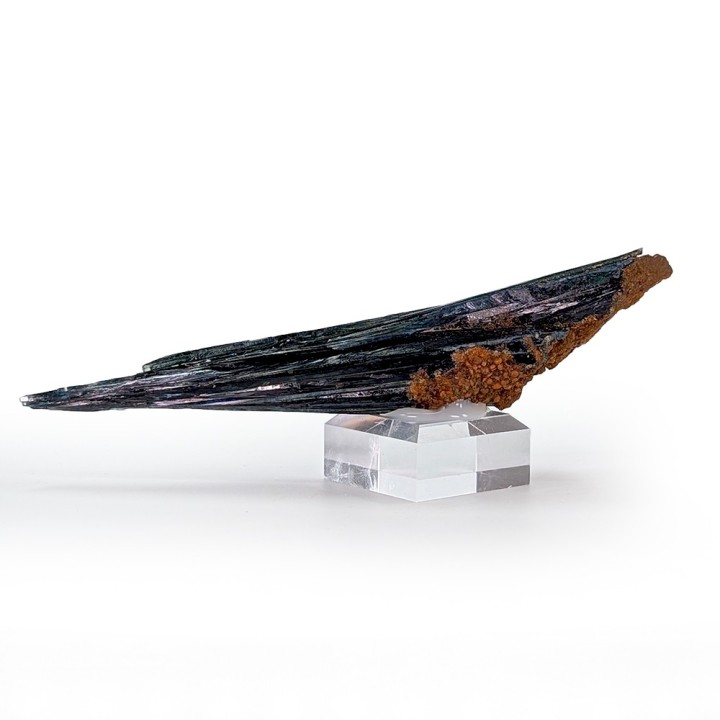 Vivianite, Cabeça do Cachorro Mine, Brazil, 13.2 cm