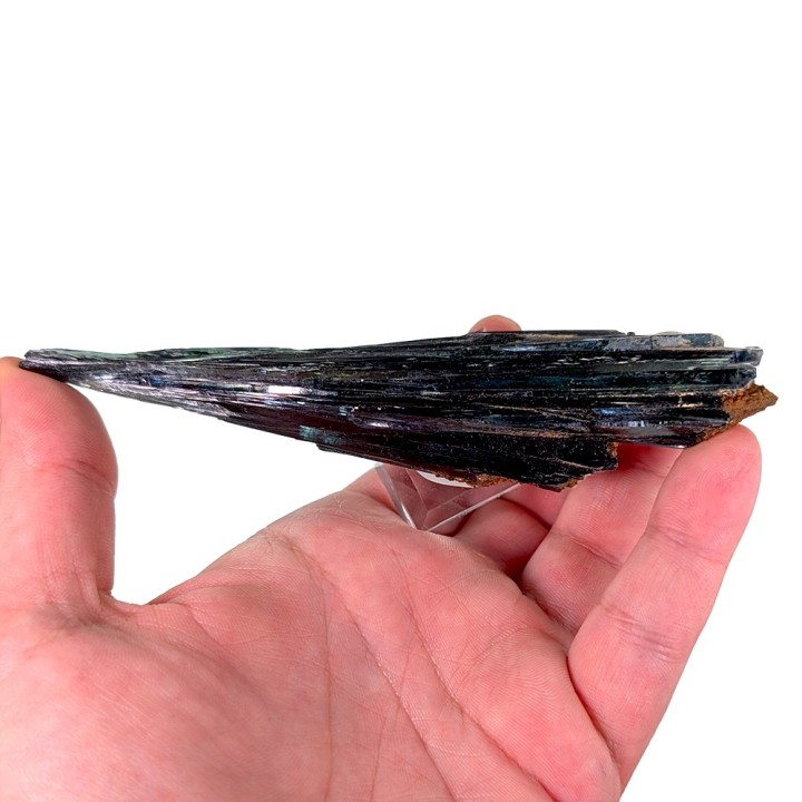 Vivianite, Mine Cabeça do Cachorro, Brésil, 13,2 cm
