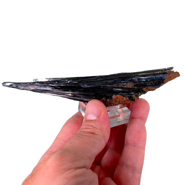 Vivianite, Cabeça do Cachorro Mine, Brazil, 13.2 cm