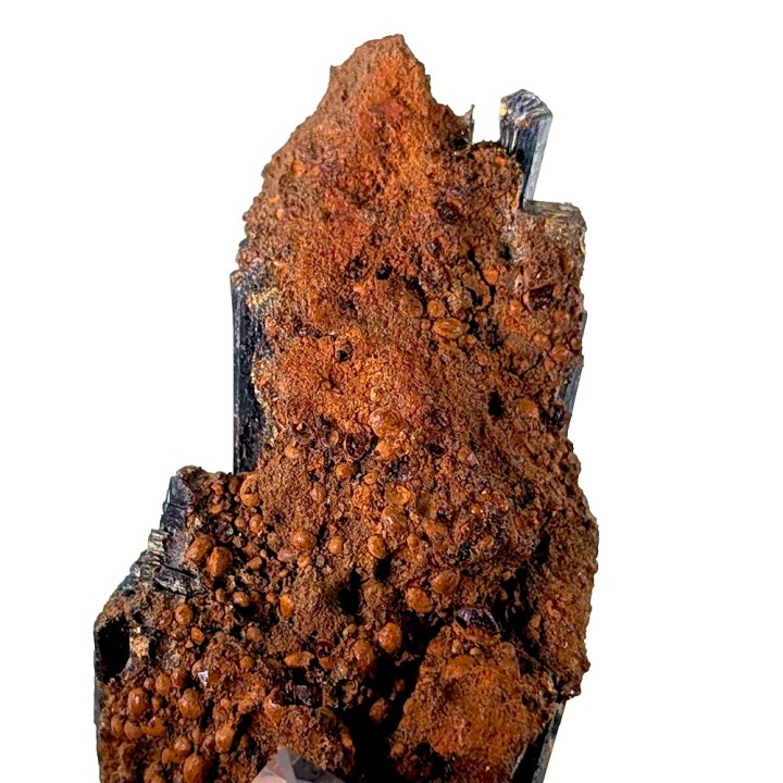 Vivianite, Mine Cabeça do Cachorro, Brésil, 13,2 cm