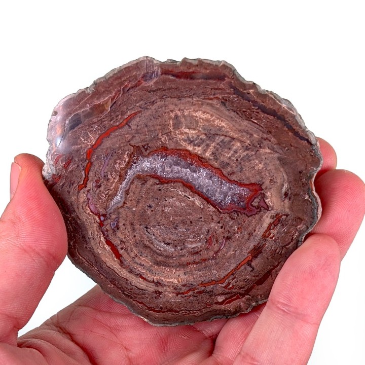 Lithophyse, Massif de l'Esterel, France, 187 grammes