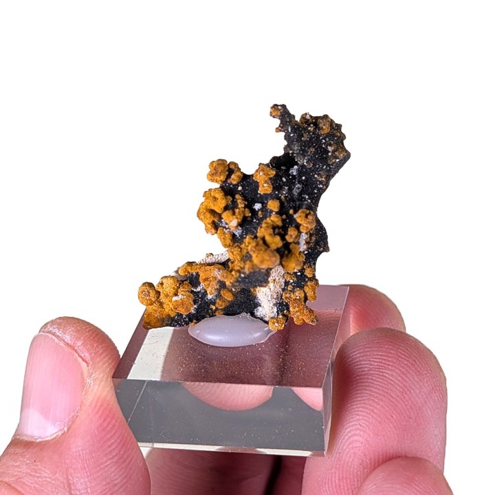 Romanéchite, goethite, Veszprém, Hongrie, 2,6 cm